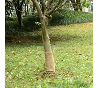Ziaphsol Rouleau de toile de jute 0,25 x 50 m 200 g/m² en 100 % jute pour chemin de table, couronne, bricolage, emballage cadeau, décoration rustique pour mariage et fête