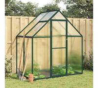 Ziaphsol Serre avec cadre de fondation, vert, 169 x 114 x 195 cm, aluminium, polycarbonate de 4 mm, résistant aux UV, serre, maison de culture, maison de tomates, ventilation, protection contre le gel