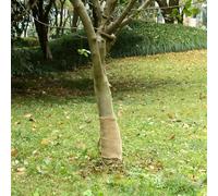 Ziaphsol Tissu de jute 0,25 x 5 m, 100 % jute naturelle 200 g/m², décoratif pour mariage, cadeau, couronne, table, fenêtre, mur, atmosphère vintage bohème maison de campagne