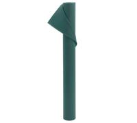 Ziaphsol Toison végétale 2 Rouleaux 70 g/m² 10x1,6 m pour Protection des Plantes, Jardinage, Serre, semis, Plantation, Entretien, Couverture légère et Durable pour Hiver
