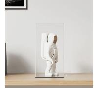 Ziaphsol Vitrine en acrylique transparent 20 x 20 x 38 cm, 3 mm d'épaisseur avec porte, pour objets de collection, figurines, exposition et présentation de marchandises en magasin