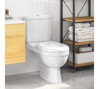 Ziaphsol WC en céramique avec chasse d'eau en blanc, double chasse 3 ou 6 l, WC mural avec raccord d'eau gauche, sortie arrière, pour salle de bain et invités