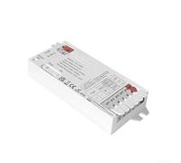 Zigbee Contrôleur de bande LED 2 en 1 pour variateur d'intensité intelligent pour 3 fils 2 bandes de fil 12 A max DC12-24 V avec fonction de mémoire de scène à distance 2,4 G pour éclairage domestique