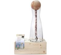 ZirbenFamilie WasserBar sans carafe