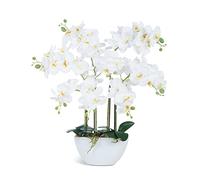 Ziwon Fleurs et Plantes artificielles en Pot dans Un Pot en céramique, orchidées phalaenopsis Blanches pour Centre de Table, Arrangement Floral réaliste pour décoration de Maison, Bureau, intérieur