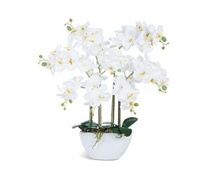 Ziwon Fleurs et Plantes artificielles en Pot dans Un Pot en céramique, orchidées phalaenopsis Blanches pour Centre de Table, Arrangement Floral réaliste pour décoration de Maison, Bureau, intérieur