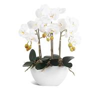 Ziwon Orchidée Artificielle en Pot dans Un Pot en céramique, orchidée phalaenopsis Blanche pour Centre de Table, Fausse Fleur réaliste dans Un Vase pour la Maison, Le Bureau, l'intérieur