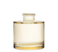 ZNJAMN Bouteille de diffuseur roseaux 5 pièces pour Huiles Essentielles | Récipient en verre d'aromathérapie coloré for huile parfumée, 100 ml(Color3)