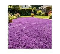 ZNQNDSR Gazon Artificiel Extérieur Découpable, Rouleau De Gazon Astro Coloré avec Trous De Drainage, pour Toit De Terrain De Jeu De Jardin Et De Cour(Purple,6.5x36ft)