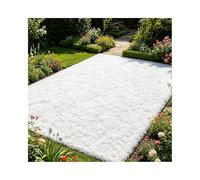 ZNQNDSR Gazon Artificiel Extérieur Découpable, Rouleau De Gazon Astro Coloré avec Trous De Drainage, pour Toit De Terrain De Jeu De Jardin Et De Cour(White,6.5x52.4ft)