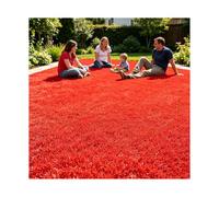 ZNQNDSR Gazon Artificiel Extérieur Découpable, Rouleau De Gazon Astro Coloré avec Trous De Drainage, pour Toit De Terrain De Jeu De Jardin Et De Cour(Red,6.5x13ft)