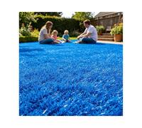 ZNQNDSR Gazon Artificiel Extérieur Découpable, Rouleau De Gazon Astro Coloré avec Trous De Drainage, pour Toit De Terrain De Jeu De Jardin Et De Cour(Blue,6.5x26.2ft)