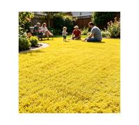 ZNQNDSR Gazon Artificiel Extérieur Découpable, Rouleau De Gazon Astro Coloré avec Trous De Drainage, pour Toit De Terrain De Jeu De Jardin Et De Cour(Yellow,6.5x36ft)