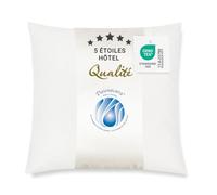 ZOLLNER - Lot de 1 - Oreiller - Blanc - 40x40 cm - 100% Coton | Lavable à 60°C - STANDARD 100 by OEKO-TEX® - QUALITÉ HÔTELIÈRE