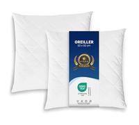 ZOLLNER Lot de 2 Coussins - Made in Europe - Remplissage Polyester - Housse en Tissu mélangé - Lavable à 95°C - 60x60 cm - qualité hôtel - certifié Oeko Tex®