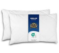 ZOLLNER Lot de 2 Coussins - Made in Europe - Remplissage Polyester - Housse en Tissu mélangé - Lavable à 95°C - 30x50 cm - qualité hôtel - certifié Oeko Tex®