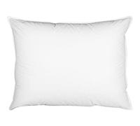 ZOLLNER Oreiller en Plumes - Made in Germany - Remplissage 100% Plumes - Housse en Coton de Haute qualité - Lavable jusqu'à 60°C - 70x90 cm - Qualité hôtelière