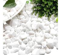 ZoneYan Décorative Gravier Blanc, 1000g, Petit Pierres Blanches, Pierres Blanches Décoratives, Cailloux Decoratif Vase, Petit Galets Jardin, Mini Graviers Blanc pour Pots Fleurs, Jardins (1000)