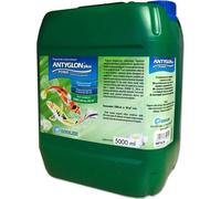 Zoolek Antyglon 5000ml (préparation pour algues) Zoolek