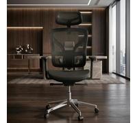 Zstar Chaise de Bureau Ergonomique Professionnelle - Maille Noire, Dossier Haut, Soutien Lombaire, accoudoirs 4D et Appui-tête réglables, Inclinaison verrouillable, pivotante 360°, capacité 160 kg -