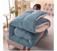 ZTGL Couette en Super Doux Velours d'agneau Couette Chaude en Hiver, Double Super Épaisseur Couverture, Moelleux et Respirant Édredon, Tissu Cachemire d'agneau Chaud Rapide,Mist Blue,200x230cm(3kg)