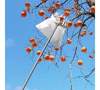 ZTZBFGM 19.7 ft, Cueilleur De Fruits/Perche Télescopique,Outils De Cueillette De Fruits avec Sacs en Tissu,Récolteur De Fruits Réutilisable pour Pommes,Oranges,Citrons