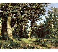 Zuty - Peinture au diamant - CHÊNAIE (IVAN SHISHKIN), 40x50 cm, toile tendue sur châssis
