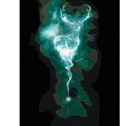Zuty - Peinture par numéros - EXPECTO PATRONUM CERF (HARRY POTTER), 40 x 50 cm, toile tendue sur châssis