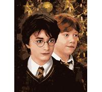 Zuty - Peinture par numéros - HARRY POTTER ET RON WEASLEY NOËL, 40 x 50 cm, toile tendue sur châssis