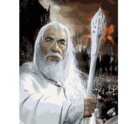 Zuty - Peinture par numéros - PORTRAIT DE GANDALF (LE SEIGNEUR DES ANNEAUX), 40 x 50 cm, toile tendue sur châssis
