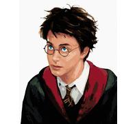 Zuty - Peinture par numéros - PORTRAIT DE HARRY POTTER, 40 x 50 cm, toile tendue sur châssis
