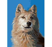 Zuty - Peinture par numéros - PORTRAIT DE LOUP I (D. RUSTY RUST), 40 x 50 cm, toile tendue sur châssis