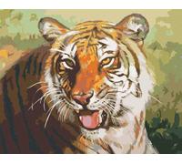 Zuty - Peinture par numéros - PORTRAIT DE TIGRE AU REPOS (D. RUSTY RUST), 40 x 50 cm, toile tendue sur châssis