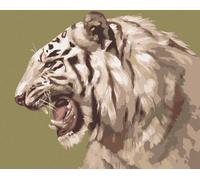 Zuty - Peinture par numéros - PORTRAIT DE TIGRE BLANC RUGISSANT (D. RUSTY RUST), 40 x 50 cm, toile tendue sur châssis