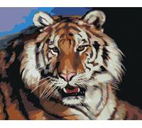 Zuty - Peinture par numéros - PORTRAIT DE TIGRE (D. RUSTY RUST), 40 x 50 cm, toile tendue sur châssis