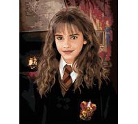 Zuty - Peinture par numéros - PORTRAIT D'HERMIONE (HARRY POTTER), 40 x 50 cm, toile tendue sur châssis