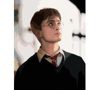 Zuty - Peinture par numéros - PORTRAIT HARRY POTTER, 40 x 50 cm, toile tendue sur châssis