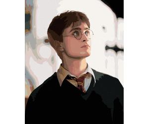 Zuty - Peinture par numéros - PORTRAIT HARRY POTTER, 40 x 50 cm, toile tendue sur châssis