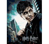 Zuty - Peinture par numéros - POSTER HARRY POTTER ET LES RELIQUES DE LA MORT, 40 x 50 cm, toile tendue sur châssis