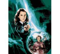 Zuty - Peinture par numéros - POSTER HARRY POTTER ET L'ORDRE DU PHÉNIX - HERMIONE, 40 x 50 cm, toile tendue sur châssis