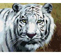 Zuty - Peinture par numéros - TIGRE BLANC PORTRAIT (D. RUSTY RUST), 40 x 50 cm, toile tendue sur châssis