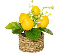 ZWEquipint Citronnier artificiel de 15 cm pour mini plante en pot, bonsaï réaliste, fruit réaliste, maison, bureau, étagère, décoration de table de mariage, décoration d'intérieur, plastique sans
