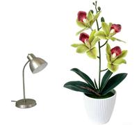 ZWEquipint Orchidée cymbidium douce au toucher en pot - Fleur artificielle réaliste en caoutchouc - Décoration pour mini taille - 9,5 x 34 cm - Pour la maison, le bureau, la décoration de table de