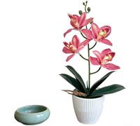 ZWEquipint Orchidée cymbidium douce au toucher en pot - Fleur artificielle réaliste en caoutchouc - Décoration pour mini taille - 9,5 x 34 cm - Pour la maison, le bureau, la table de mariage (rose)