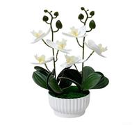 ZWEquipint Orchidée phalaenopsis artificielle avec 6 fleurs en pot pour la maison, le bureau, la décoration de bureau, jaune, blanc, violet, rouge, 26 cm (blanc)