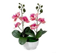 ZWEquipint Orchidée phalaenopsis artificielle avec 6 fleurs en pot pour la maison, le bureau, la décoration de bureau, jaune, blanc, violet, rouge, 26 cm (motif rouge)