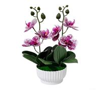 ZWEquipint Orchidée phalaenopsis artificielle avec 6 fleurs en pot pour la maison, le bureau, la décoration de bureau, jaune, blanc, violet, rouge, 26 cm (violet à pois)