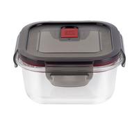 ZWILLING Gusto 500 ml, Boîte de conservation, Transparent