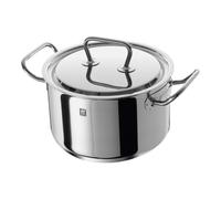 ZWILLING TWIN Classic Marmite 20 cm, Inox 18/10
