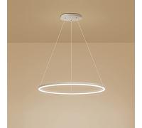ZXSRGDHX Anneau Unique LED Suspension Nordique Moderne Cercle Lustre Réglable Lampes Suspendues pour Salon Îlot De Cuisine Table À Manger(60cm, 38W,White, Trichromatic)